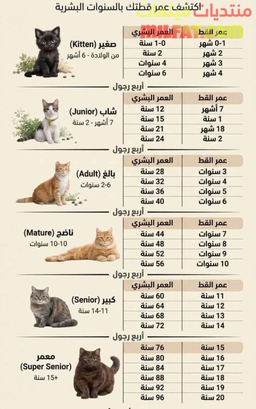 FB IMG 1770647254799