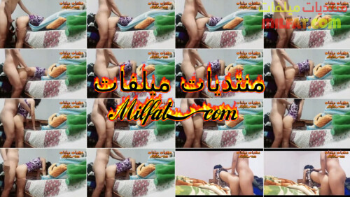 InShot 20260211 165247865