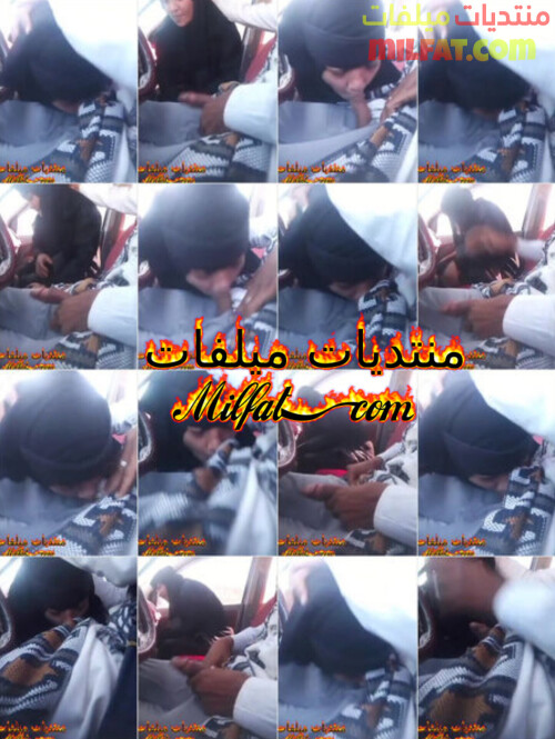 InShot 20260211 172211681