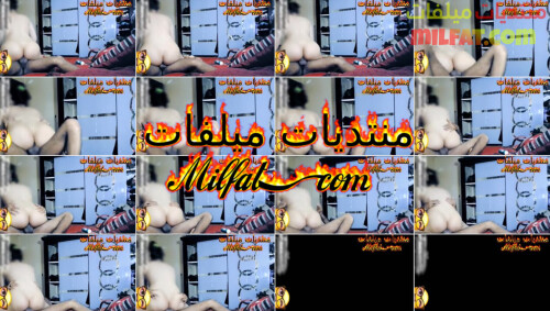 InShot 20260211 172457754